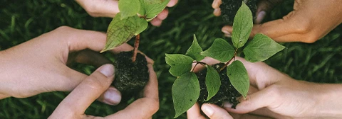 Sustainability commitment photo